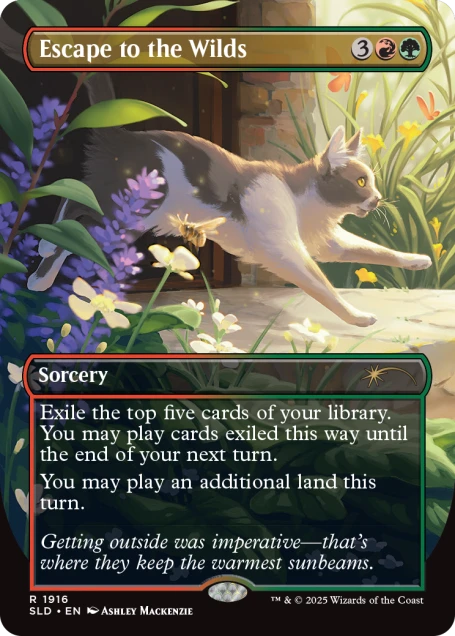 Secret Lair Cats Are Better Than Dogs