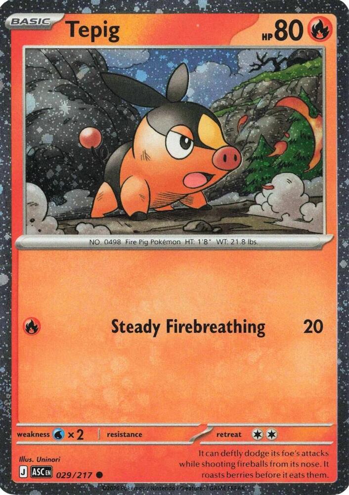 Tepig - 029/217 (Cosmos Holo) [Miscellaneous Cards and Products]