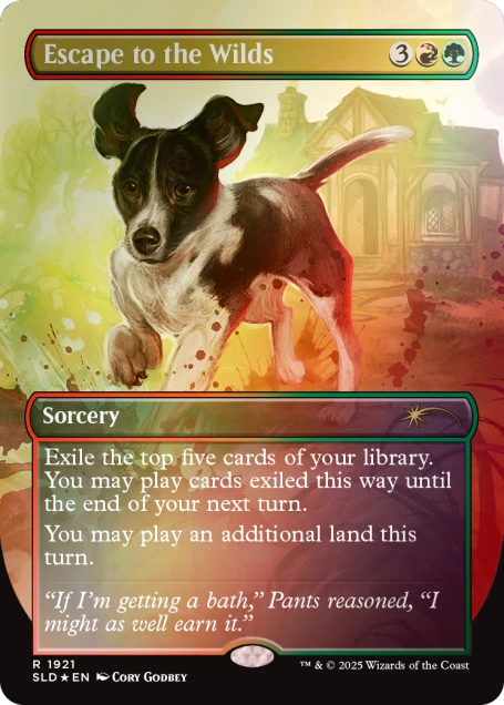 Secret Lair Dogs Are Better Than Cats Rainbow Foil Edition (Anglais)