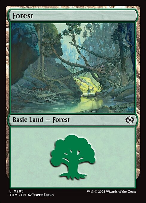 Forest (285) [Tarkir: Dragonstorm]