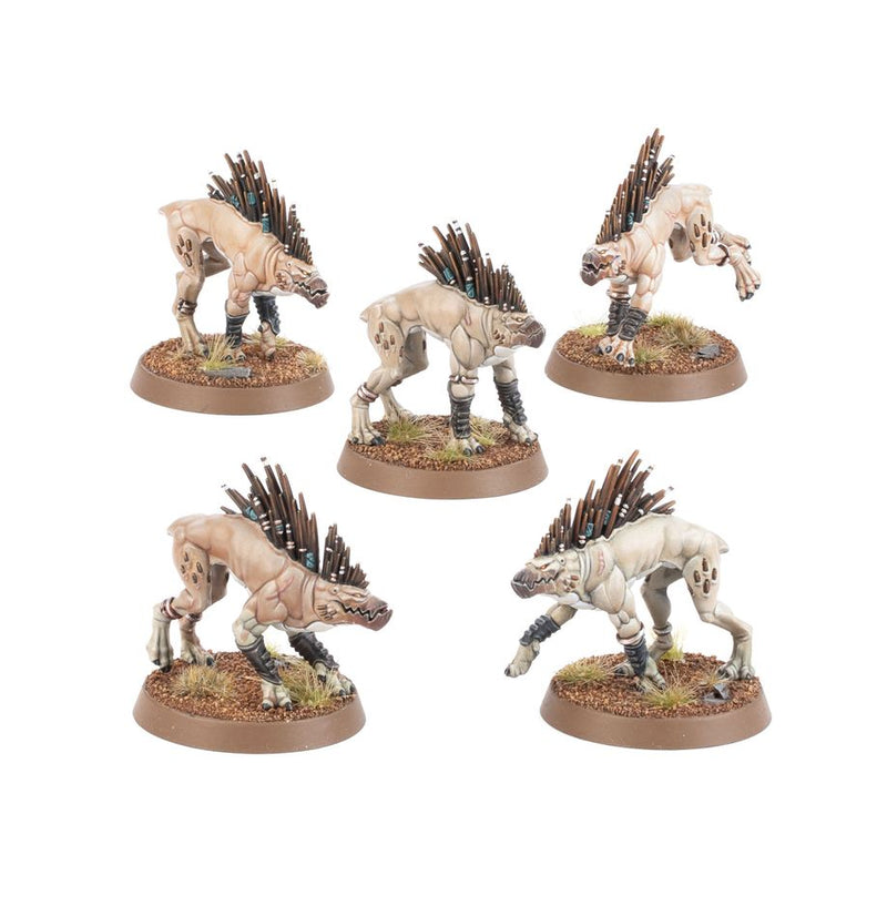 Warhammer 40k - T'au Empire: Kroot Hounds