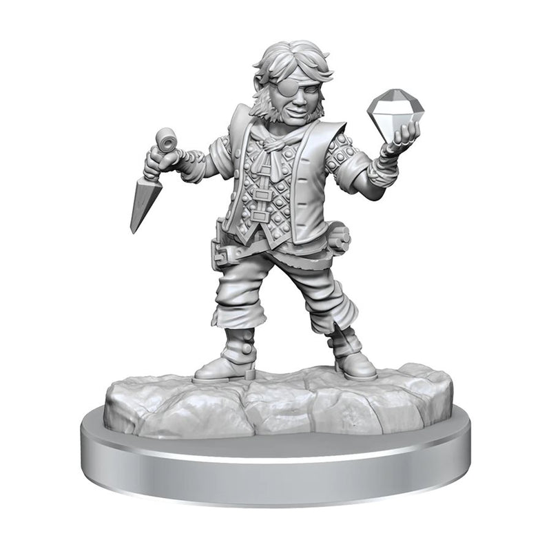 DND Frameworks: Wave 2A: Male Halfling Rogue