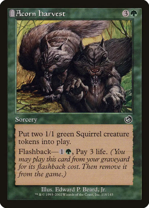 Acorn Harvest [Torment] - MTG Single