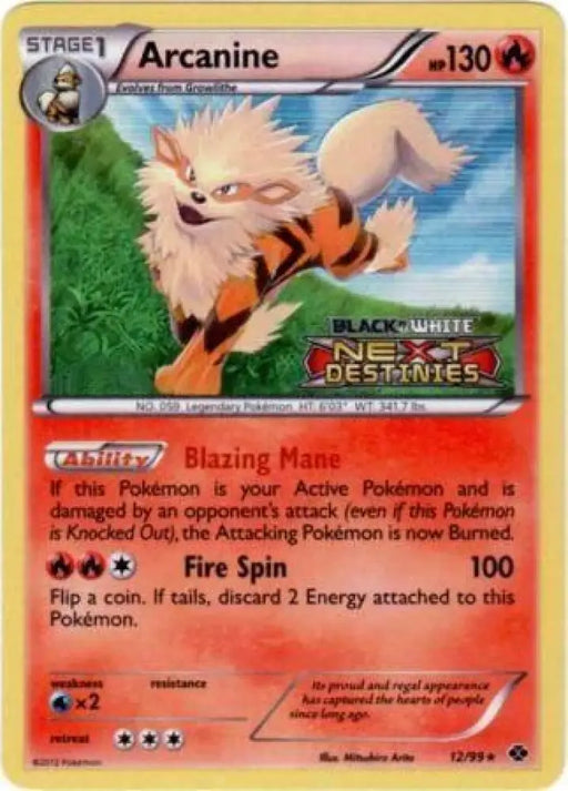 Arcanine (12/99) (Prerelease Promo) [Black & White: Black Star Promos] - Pokemon Single