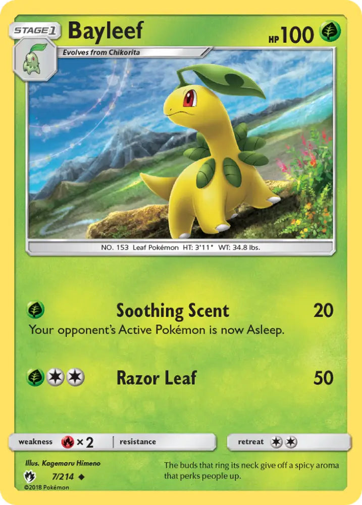 Bayleef (7/214) [Sun & Moon: Lost Thunder] - Pokemon Single