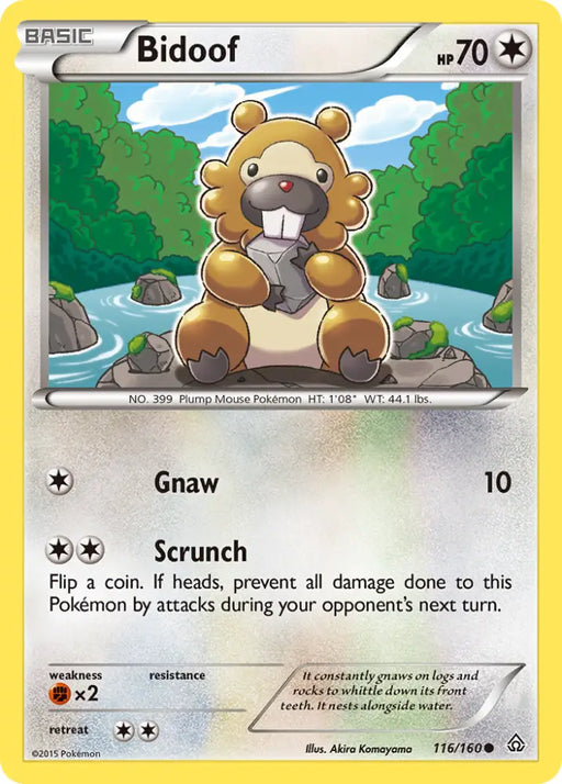 Bidoof (116/160) [XY: Primal Clash] - Pokemon Single