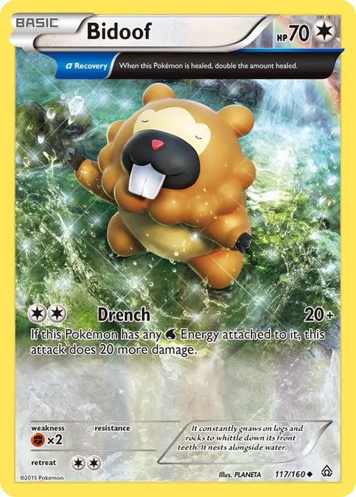 Bidoof (117/160) [XY: Primal Clash] - Pokemon Single