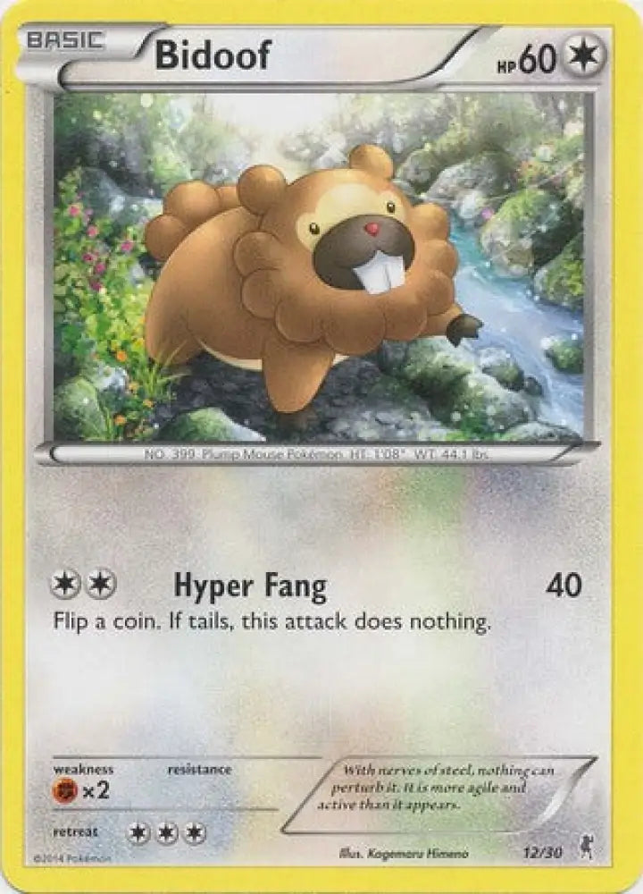 Bidoof (12/30) [XY: Trainer Kit 1 - Bisharp] - Pokemon Single