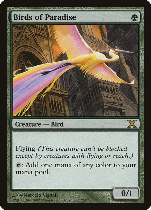 Birds of Paradise [Tenth Edition] - MTG Single