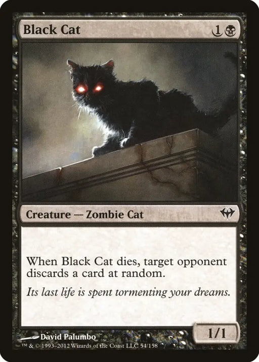 Black Cat [Dark Ascension] - MTG Single