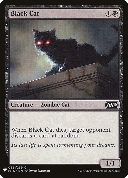 Black Cat [Mystery Booster] - MTG Single