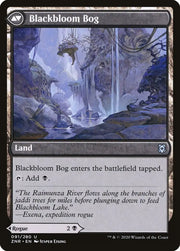 Blackbloom Rogue // Blackbloom Bog [Zendikar Rising] - MTG Single