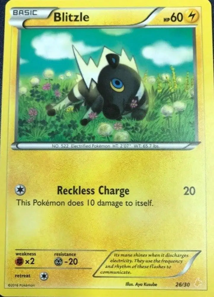 Blitzle (26/30) [XY: Trainer Kit 3 - Pikachu Libre] - Pokemon Single