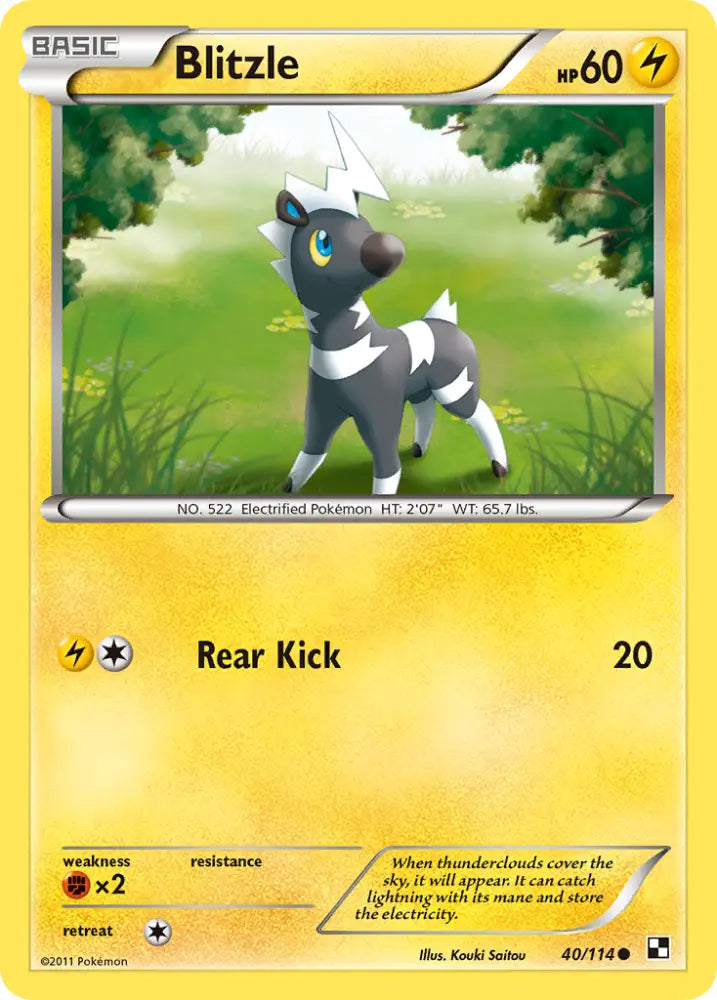 Blitzle (40/114) [Black & White: Base Set] - Pokemon Single