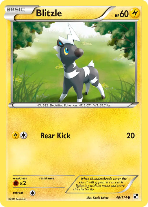 Blitzle (40/114) [Black & White: Base Set] - Pokemon Single