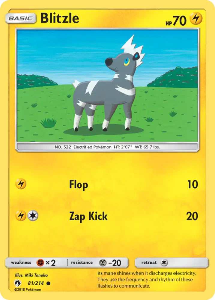 Blitzle (81/214) [Sun & Moon: Lost Thunder] - Pokemon Single