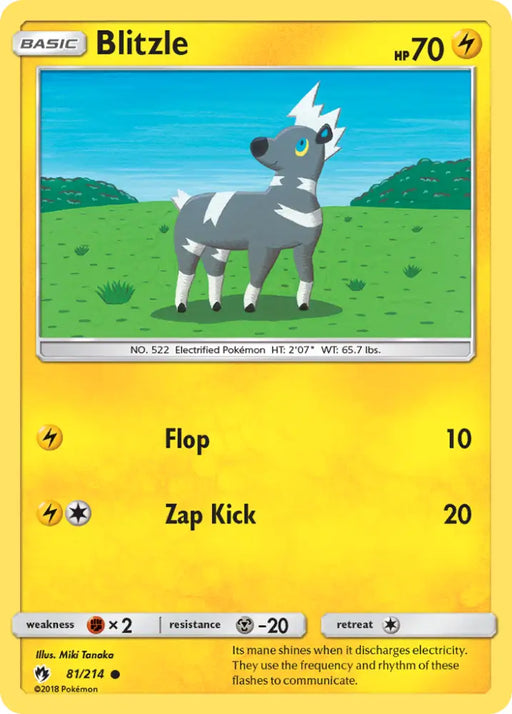 Blitzle (81/214) [Sun & Moon: Lost Thunder] - Pokemon Single