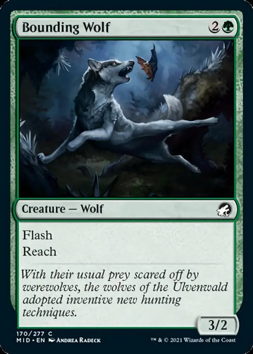 Bounding Wolf [Innistrad: Midnight Hunt] - MTG Single