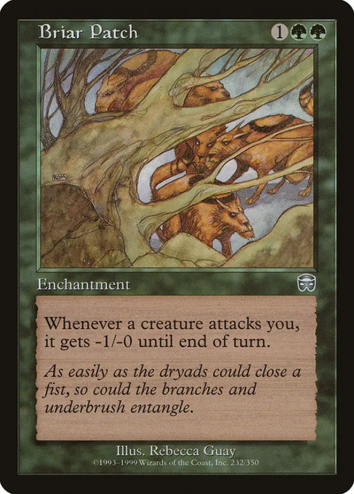 Briar Patch [Mercadian Masques] - MTG Single