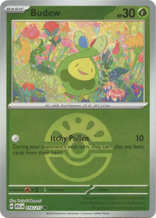 Budew - 016/217 (Friend Ball) [ME: Ascended Heroes]