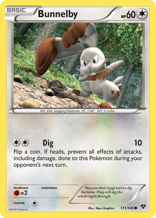 Bunnelby (111/146) [XY: Base Set] - Pokemon Single