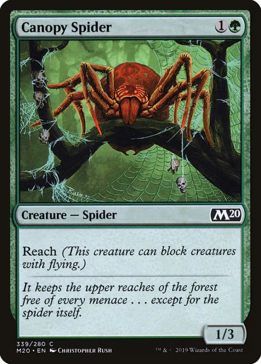 Canopy Spider [Core Set 2020] - MTG Single