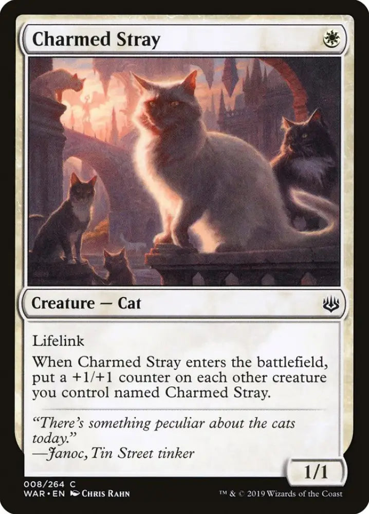 Charmed Stray [War of the Spark] - MTG Single