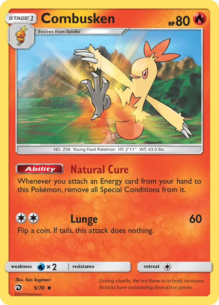 Combusken (5/70) [Sun & Moon: Dragon Majesty] - Pokemon Single