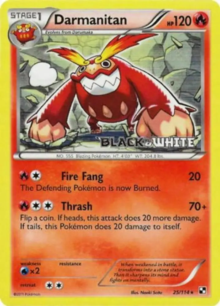 Darmanitan (25/114) (Prerelease Promo) [Black & White: Black Star Promos] - Pokemon Single