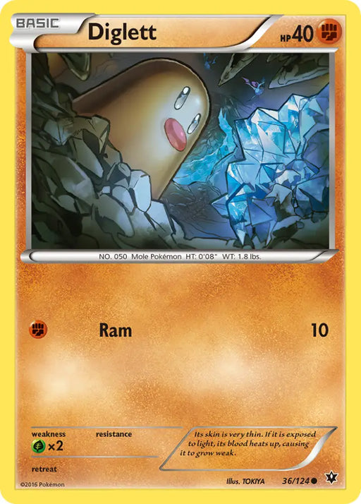 Diglett (36/124) [XY: Fates Collide] - Pokemon Single