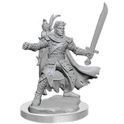 DND Frameworks: Wave 2A: Male Half-Elf Ranger - D&D