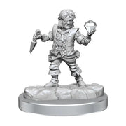 DND Frameworks: Wave 2A: Male Halfling Rogue - D&D
