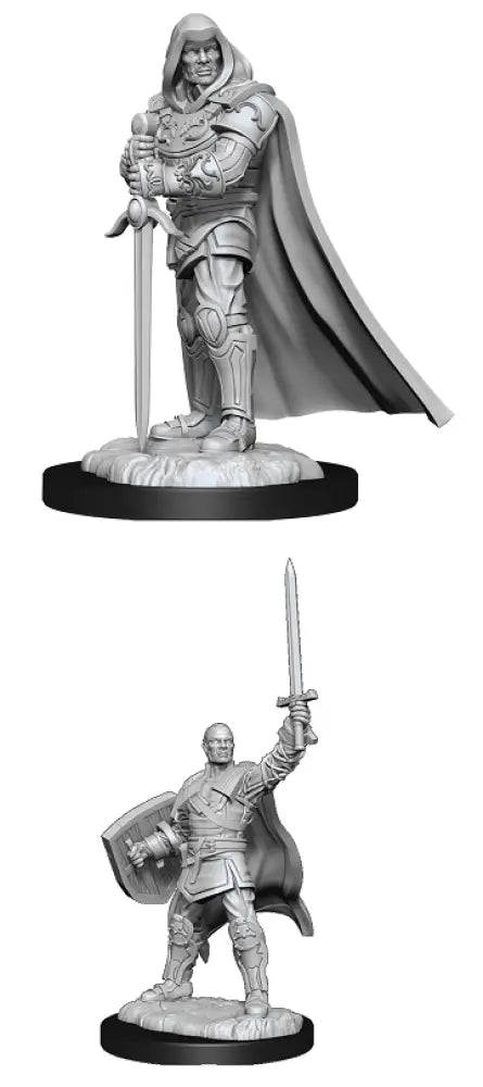 DND UNPAINTED MINIS WV13 HUMAN PALADIN MALE - D&D