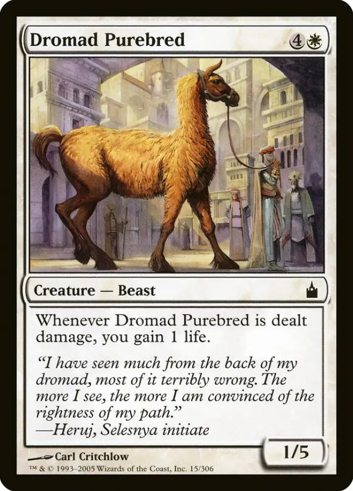 Dromad Purebred [Ravnica: City of Guilds] - MTG Single