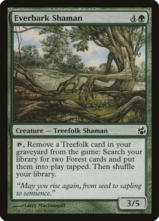 Everbark Shaman [Morningtide] - MTG Single