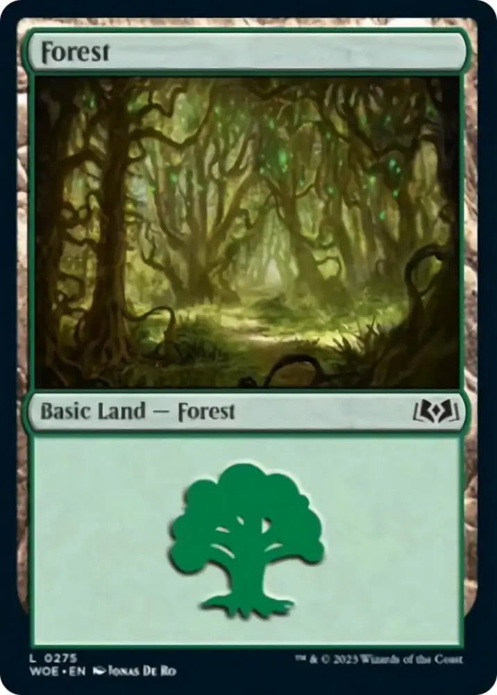 Forest (0275) [Wilds of Eldraine] - MTG Single