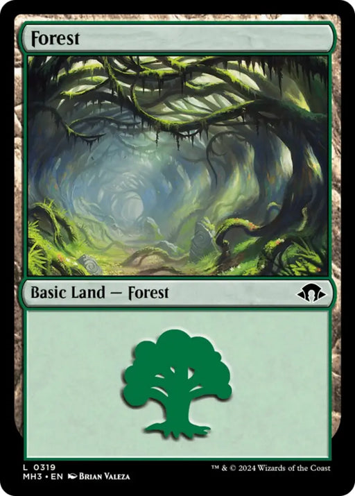 Forest (0319) [Modern Horizons 3] - MTG Single