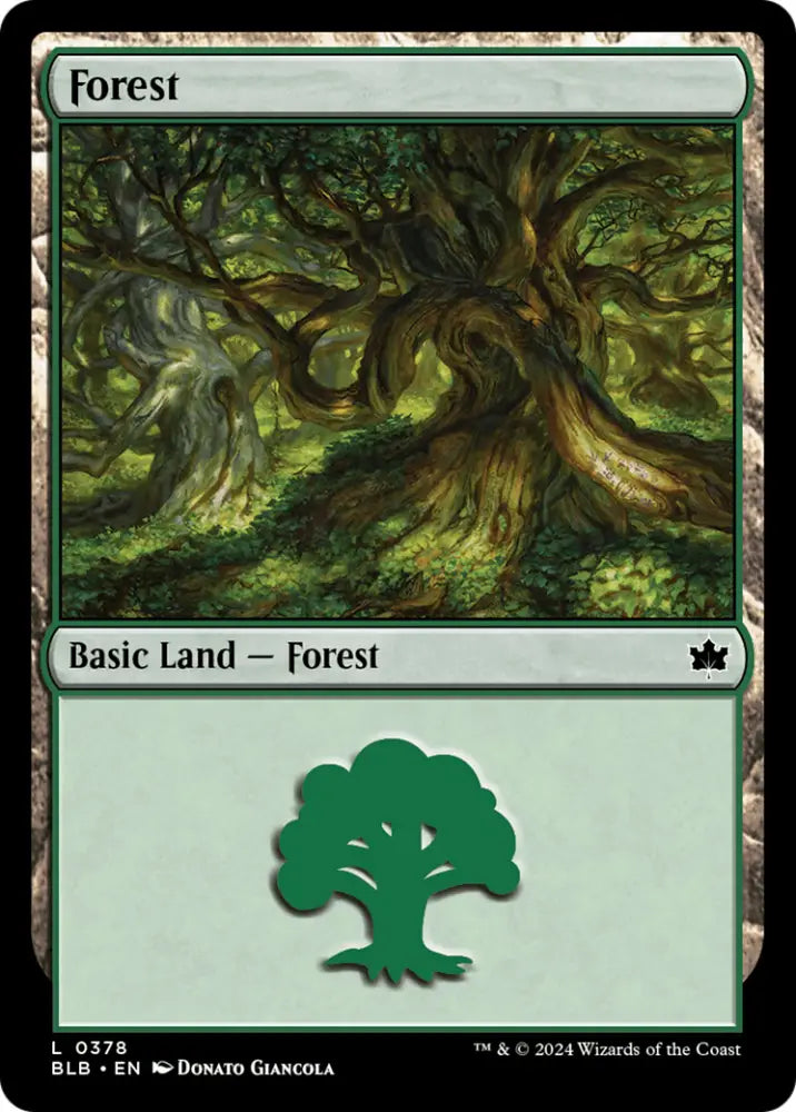 Forest (0378) [Bloomburrow] - MTG Single