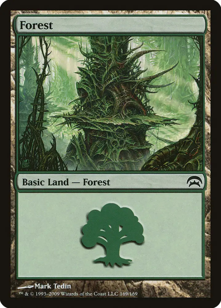 Forest (169) [Planechase] - MTG Single