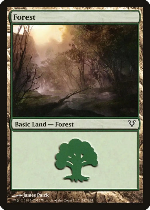 Forest (242) [Avacyn Restored] - MTG Single