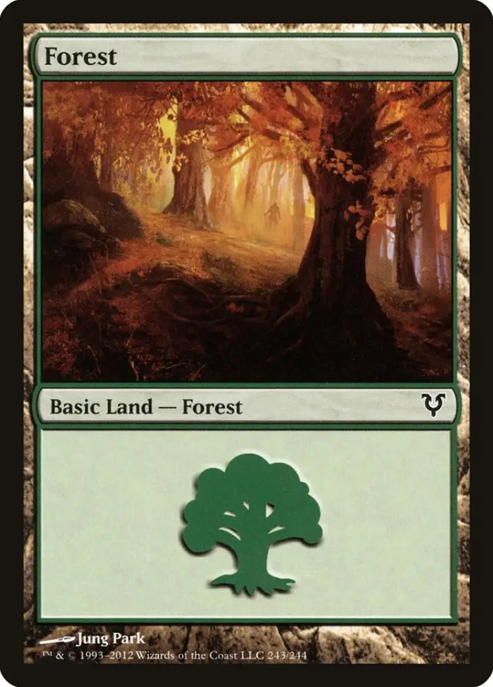 Forest (243) [Avacyn Restored] - MTG Single