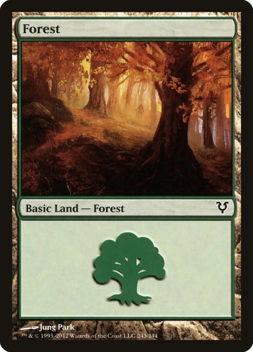 Forest (243) [Avacyn Restored] - MTG Single