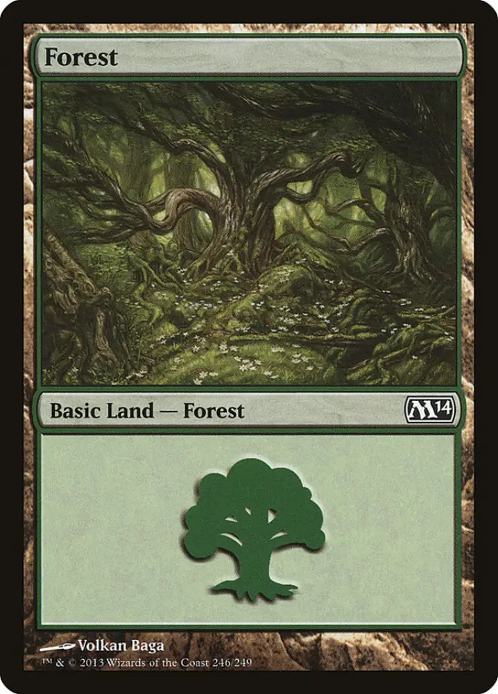 Forest (246) [Magic 2014] - MTG Single