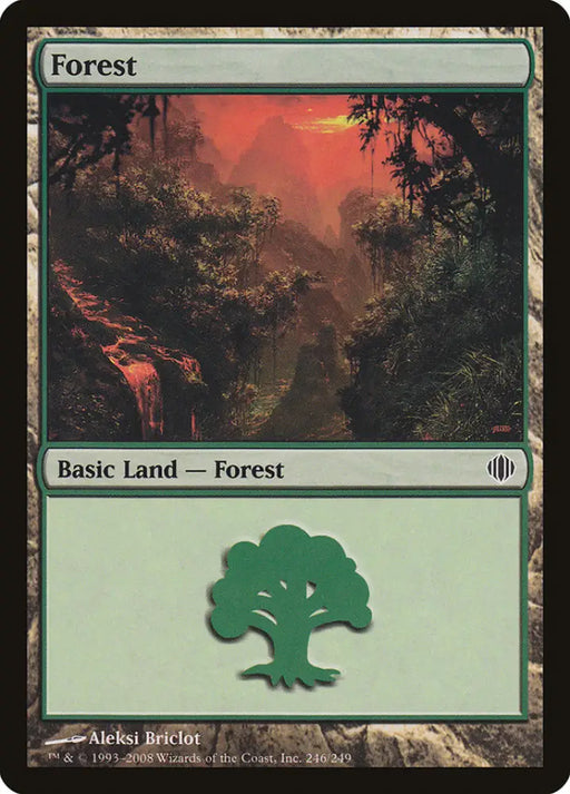 Forest (246) [Shards of Alara] - MTG Single
