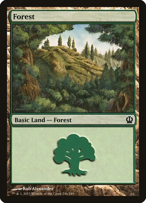 Forest (246) [Theros] - MTG Single
