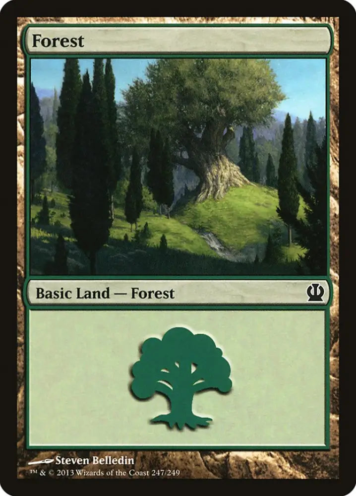 Forest (247) [Theros] - MTG Single