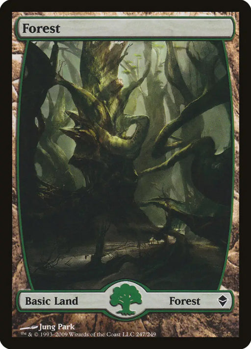 Forest (247) [Zendikar] - MTG Single