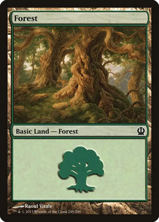 Forest (249) [Theros] - MTG Single