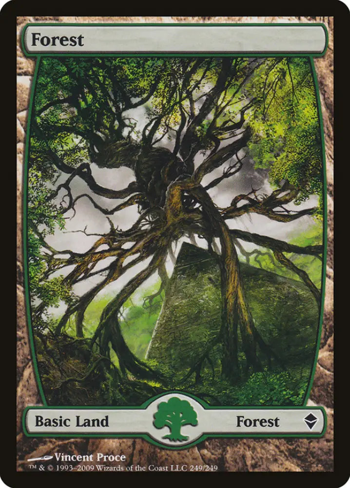 Forest (249) [Zendikar] - MTG Single