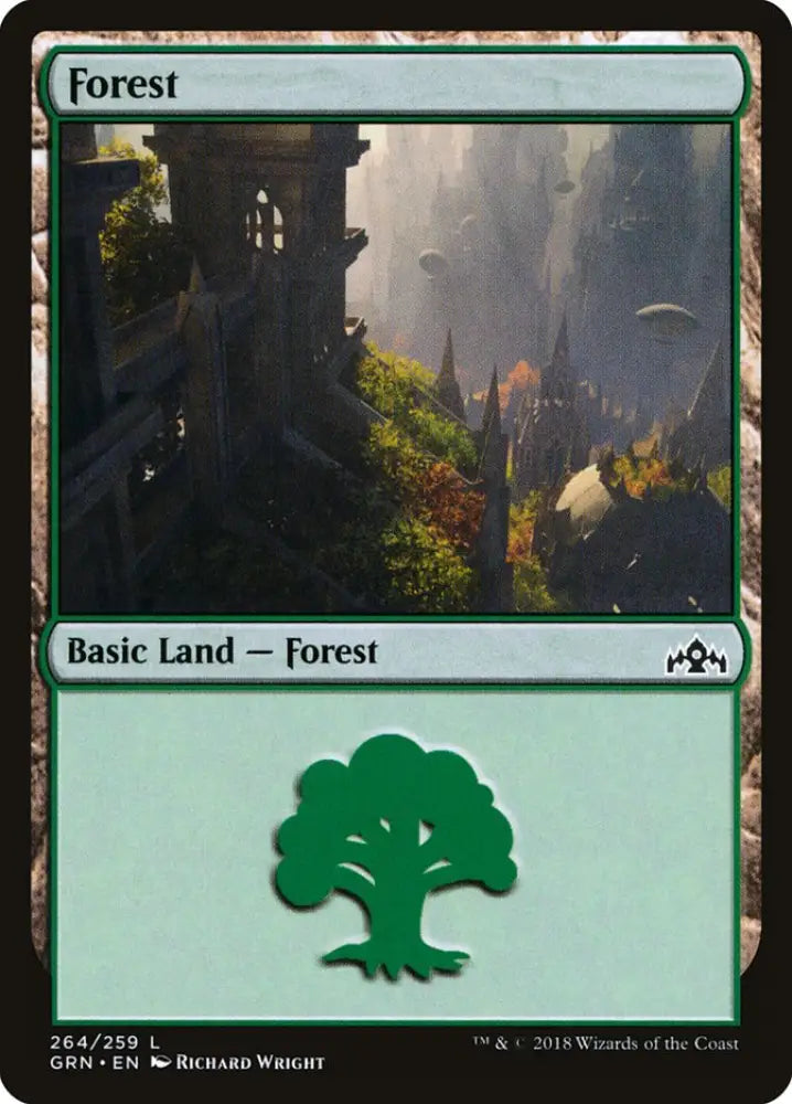 Forest (264) [Guilds of Ravnica] - MTG Single